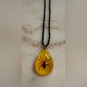 Genuine Real Taxidermy Spider  Tear Faux Amber Drop Bug Necklace on cord